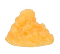Modèle Anatomique de Graisse Humaine 1 Lb en Tpe pour Nutritionnistes