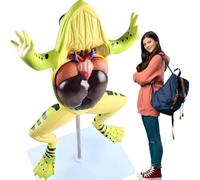 Modèle anatomique de grenouille, modèle détachable d'organes et de parties du corps de grenouille, modèle anatomique des organes internes de l'animal, outil pédagogique