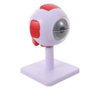 Modèle Anatomique de L’œil en Pvc 3x Agrandi, Rose