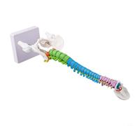 Modèle anatomique de la colonne vertébrale humaine de 45 cm avec code couleur cervicale/thoracique/lombaire/sacrée/coccygienne, aide pédagogique en PVC pour l'éducation d'anatomie (45 cm)