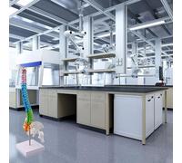 Modèle anatomique de la colonne vertébrale humaine de 45 cm avec code couleur cervicale/thoracique/lombaire/sacrée/coccygienne pour l'éducation, l'enseignement et la clinique (45 cm)