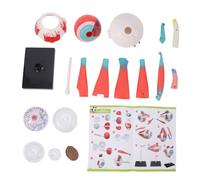 Modèle anatomique de l'œil humain, affichage de l'anatomie des yeux, modèle d'enseignement scientifique pour l'éducation