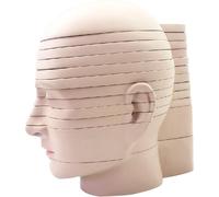 Modèle anatomique de section transversale de tête humaine, modèle de section transversale de tête et de cerveau 12 pièces, section horizontale en tranche, logo anatomique clair, modèle de corps humain