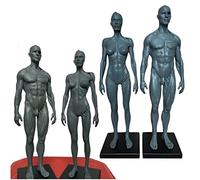 Modèle anatomique de squelette et de muscles du corps humain - Figurine anatomique humaine - Pour école et outil pédagogique, 27,9 cm de haut