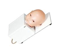 Modèle Anatomique de Tête Humaine pour Pratique de Ponction Veineuse