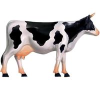 Modèle anatomique de vache 4D, modèle anatomique avec biologie détachable, squelette animal en 29 parties for clinique vétérinaire, formation, école, enseignement et démonstration.