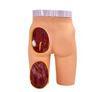 Modèle Anatomique d'Entraînement à Injection Fessière, Modèle d'Entraînement à Injection Fessière, 3 Méthodes d'Entraînement Pour Affichage de la Formation Pédagogique en Classe