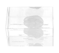 Modèle Anatomique du Cerveau en Cristal, Cube Pédagogique pour Bureau | Haute Transparence, Clarté Exceptionnelle, Aide Visuelle pour Cours, Documents et Présentation de Table