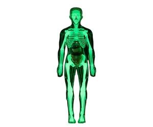 Modèle Anatomique Du Corps Humain,Organes Fluorescents Biologie | Modèle De Structure Du Corps Humain,Pour Garçons Et Filles 8+ Étude Biologie Physiologie Halloween