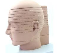Modèle anatomique en coupe transversale du cerveau humain - 12 parties - Enseignement médical de l'anatomie du crâne