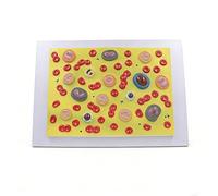 Modèle Anatomique en Relief de Cellules Sanguines Humaines, Modèle Pédagogique de Cellules Sanguines Réaliste, Matériau PVC, Outils Pédagogiques pour Explication en Classe