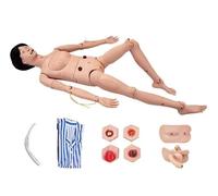 Modèle anatomique humain, simulateur de soins aux patients pour l'entraînement infirmier, mannequin complet pour usage éducatif