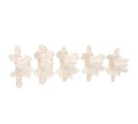 Modèle Anatomique Lombaire 1:1 en Pvc, 5 Vertèbres, Blanc | Démontable et Portable, Support Pédagogique, pour Rééducation, Consultation Médicale et Explication des Lésions