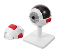 Modèle Anatomique Médical de Globe Oculaire Blanc PVC 3x | Affichage Clair de L’anatomie, Structure Visible de L’œil Humain, pour Bureaux Médicaux et Écoles