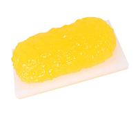 modèle anatomique, Modèle anatomique de 2,3 kg graisse - Idéal for se maintenir en forme, motiver à perdre du poids, et for les nutritionnistes cours d'anatomie