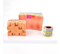 modèle Anatomique Modèle Anatomique de la paroi trachéale et du Larynx - 3 Parties agrandies Fois d'anatomie trachée Humaine Outil pédagogique médical