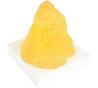 modèle anatomique, Modèle anatomique grandeur nature représentant le tissu adipeux - for nutritionnistes et étudiants en médecine (cours d'anatomie), 500 g avec socle