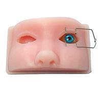 Modèle Anatomique Modèle d'anatomie Ophtalmologie Modèle tête Humaine Phacoémulsification Micromanipulation Exercice oculaire Animal Enseignement Simulation Formation pour étudiants médecine