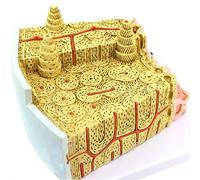 modèle anatomique, Modèle d'anatomie structurale, modèle anatomique de système d'exercice, outil formation clinique et médicale en micro-orthopédie