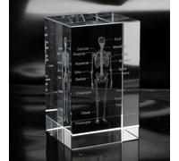 Modèle anatomique, modèle de cerveau, objets imprimés en 3D, figurines en cristal pour médecine et design (os)