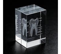 Modèle anatomique, modèle de cerveau, objets imprimés en 3D, figurines en cristal pour médecine et design (dents)