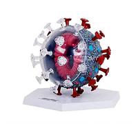 Modèle anatomique, Modèle de coronavirus jouet assemblé par puzzle 4D - Modèles d'enseignement anatomiques Utilisé for l'affichage bricolage