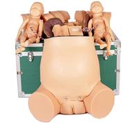 Modèle avancé de formation à l'accouchement avec plusieurs composants anatomiques pour l'éducation infirmière et médicale