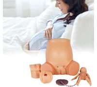 Modèle avancé de visualisation de la grossesse - Simulateur d'accouchement maternel standard, démonstration grandeur nature d'un mannequin d'accouchement atteint de dystocie féminine - Outils d'éduc