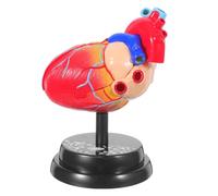 Modèle Cardiaque Réaliste, Éducation en Structure Humaine | Base D’affichage Montée, Démontable, Manuel Inclus, Rouge, pour Cours Nationaux et Salle de Science