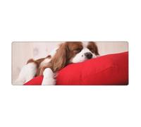 Modèle Cavalier King Charles Spaniel,Grand Tapis de Souris pour Bureau, Clavier d'ordinateur, avec Base en Caoutchouc antidérapante, 30 x 80 cm