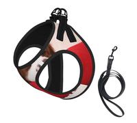 Modèle Cavalier King Charles Spaniel,Harnais pour Animaux de Compagnie, Harnais réfléchissant réglable pour Chien,M