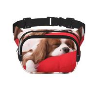 Modèle Cavalier King Charles Spaniel,Sac Banane carré Double Couche, Sac de Poitrine