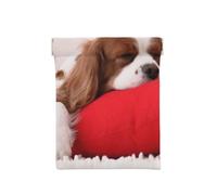 Modèle Cavalier King Charles Spaniel, Sac de Rangement pour Femmes, Portefeuille supérieur à Presser, Petit Porte-Monnaie, Pochette de Changement