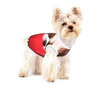 Modèle Cavalier King Charles Spaniel,T-Shirt sans Manches en Coton pour Animaux de Compagnie, Gilet Respirant, Extensible et Doux,S