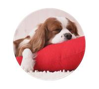 Modèle Cavalier King Charles Spaniel, Tapis de Souris Rond, Tapis de Souris à Base de Caoutchouc antidérapant, Tapis de Souris étanche 8 po