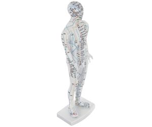 Modèle Corporel D’acupuncture Humain pour Points Méridiens, Blanc | Plastique, Simulation Réaliste et Aide Pédagogique, pour Étude à Domicile, Élèves et Enseignants Tcm