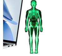 Modèle Corps Humain Jouet | Modèle Scientifique Anatomie - Squelette Humain Réaliste avec Design Éducatif pour Studio Sciences Salle Atelier Apprentissage