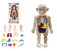 Modèle Corps Humain pour Enfants Modèle Anatomique du Corps Humain Jeux Éducatifs Enfants Étude Anatomie Humaine Modèle du Corps 3D Organes Amovibles Modèle Réaliste Affichage de l'Anatomie Humaine