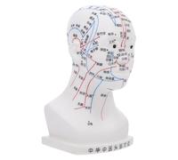 Modèle D’acupuncture de Tête Humaine PVC pour Démonstration | Aide Pédagogique pour Débutants, Affichage en Classe Santé, Voies Méridiennes et Points Précis