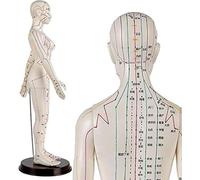 Modèle D’Acupuncture Féminine - Modèle D’Acupuncture - Médecine Chinoise Acupuncture Modèle D’Anatomie Humaine