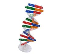 Modèle D’adn Double Hélice à Assembler, Papier Kit Scientifique 1 Set | Apprentissage de Physiologie, Conception à Monter Soi-même, pour École Secondaire et École Infirmière Couleur Aléatoire