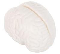 Modèle D’anatomie du Cerveau Humain, PVC Blanc | Démontable, Coupe Détaillée et Démonstration Interactive, Étude Médicale et Affichage Biologique