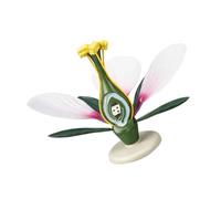 Modèle d ' enseignement de botanique avec pièces détachables en | Affichage agrandi de l ' anatomie des fleurs, base ronde pour explication des cours de biologie, observation de