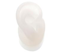 Modèle D’oreille Humaine Droite en Silicone pour Perçage et Display