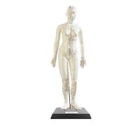 Newgen Medicals Modèle d'acupuncture 45 cm - Femme