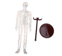 Modèle d'acupuncture - 52 cm de haut - Points d'acupuncture précis - Bras rotatifs à 360 ° - Pour étudiants - En PVC - Blanc - Pour homme