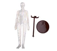 Modèle d'acupuncture - 52 cm de haut - Points d'acupuncture précis - Bras rotatifs à 360 ° - Pour étudiants - En PVC blanc - Pour femme