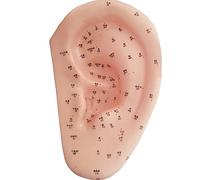 Modèle d'acupuncture auriculaire, modèle de grande oreille de 40 cm pour des points d'acupuncture précis et l'enseignement du massage, idéal pour l'éducation médicale
