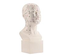 Modèle D'acupuncture de Tête avec Points D'acupuncture Standards, Gravure HD, Matériau PVC, pour la Formation et la Pratique de L'acupuncture
