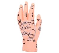 Modèle d'acupuncture des mains, modèle de réflexologie des mains en PVC pour l'école de médecine pour la salle de classe pour l'enseignement